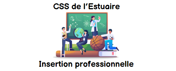 CSSE - Insertion professionnelle